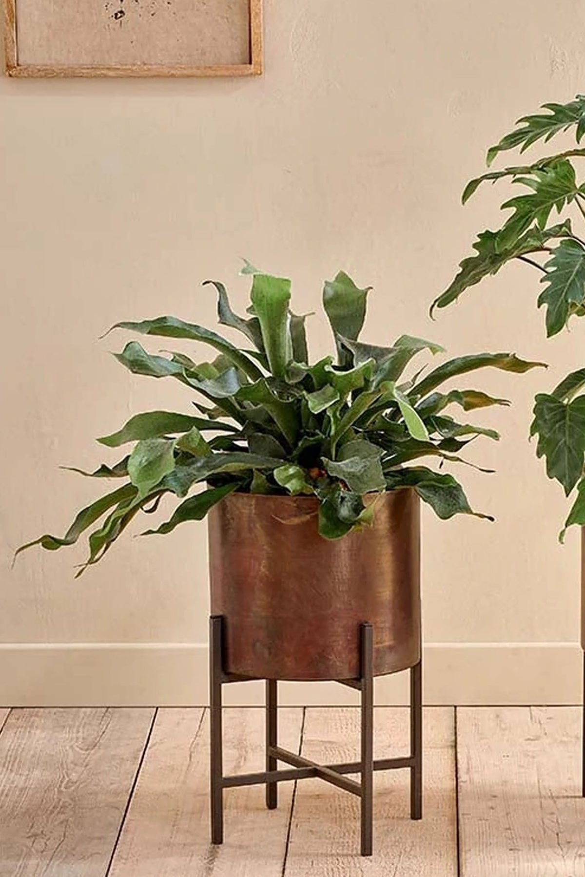 Nkuku Juoni Iron Planter - Antique Brass