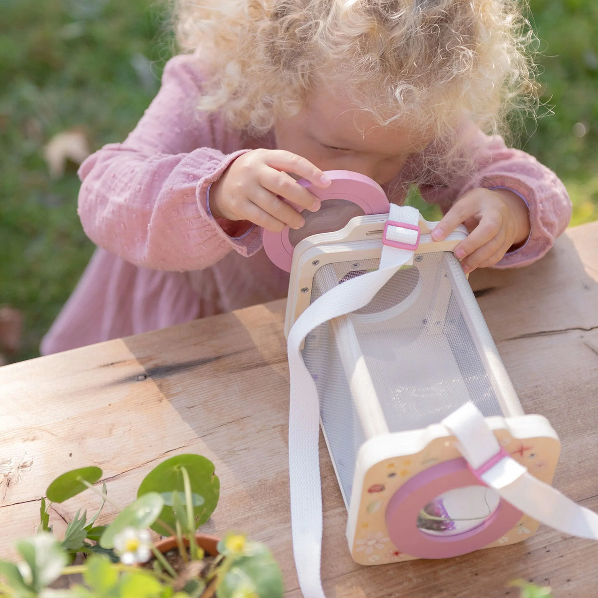 Little Dutch insect Box - Fairy Garden