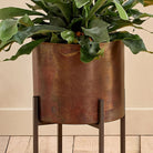 Nkuku Juoni Iron Planter - Antique Brass