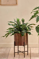 Nkuku Juoni Iron Planter - Antique Brass