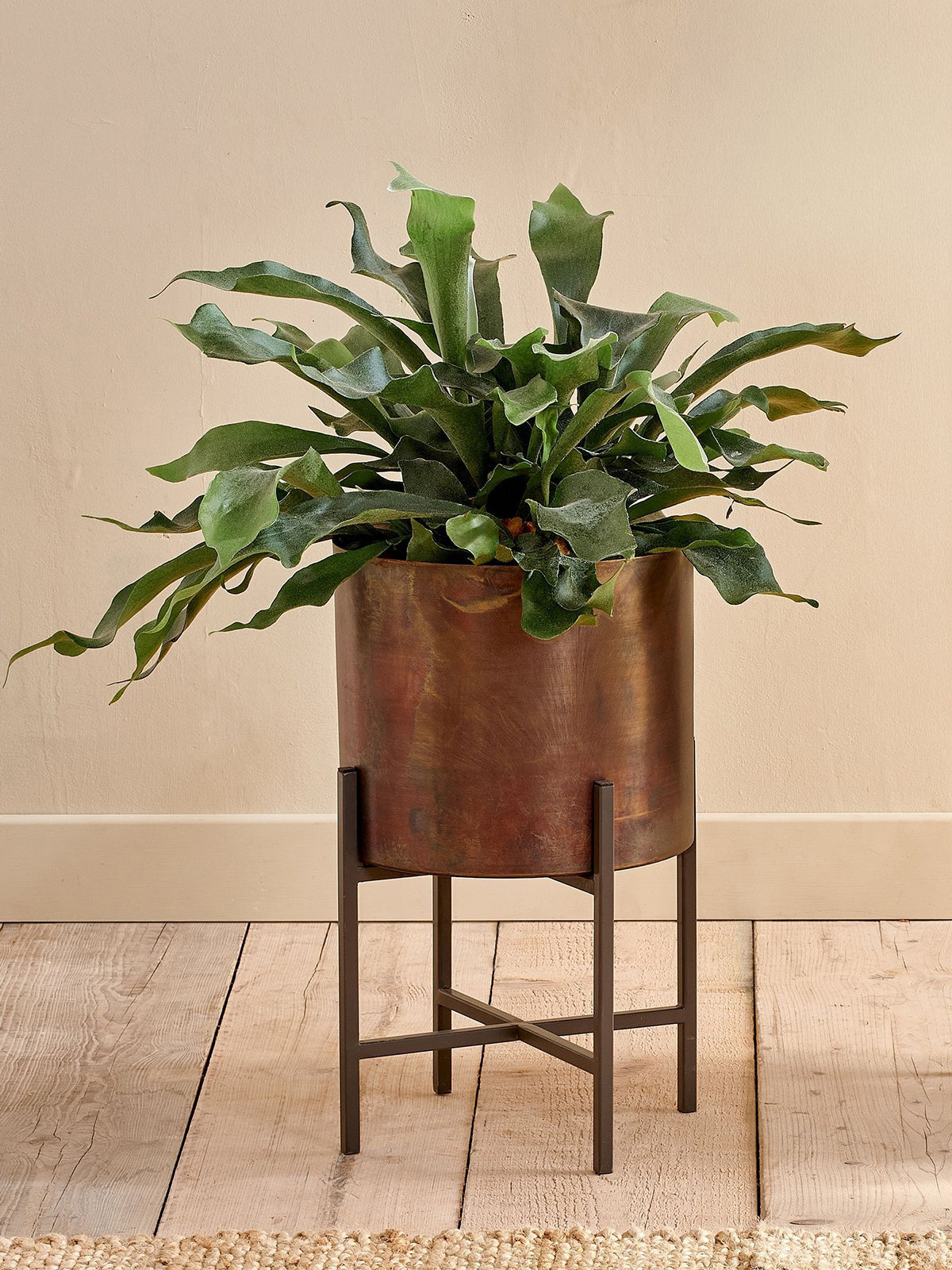 Nkuku Juoni Iron Planter - Antique Brass