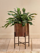 Nkuku Juoni Iron Planter - Antique Brass