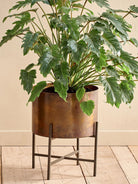 Nkuku Juoni Iron Planter, Large - Antique Brass