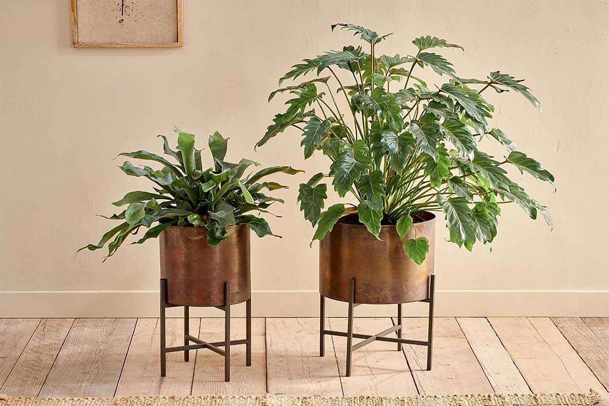 Nkuku Juoni Iron Planter, Large - Antique Brass